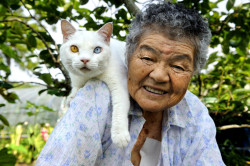 misstangerine:     The Adorable Story of a Grandmother and Her Cat Japanese photographer Miyoko Ihara began taking pictures of her grandmother, Misao, 13 years ago to commemorate her rich life. Along the way, the photographer came across a beautiful bond