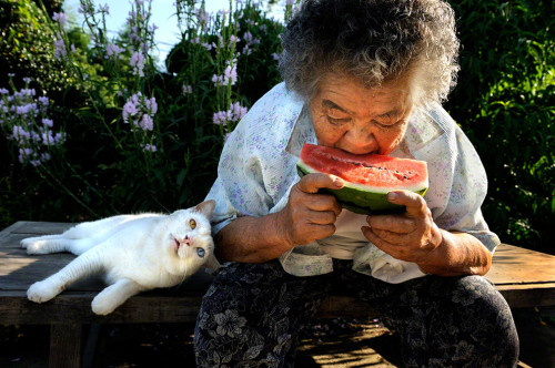 misstangerine:     The Adorable Story of a Grandmother and Her Cat Japanese photographer Miyoko Ihara began taking pictures of her grandmother, Misao, 13 years ago to commemorate her rich life. Along the way, the photographer came across a beautiful bond