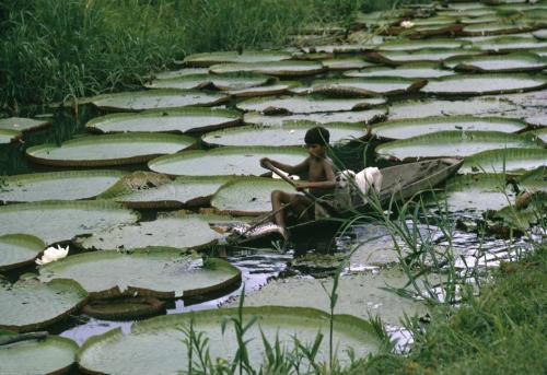 fotojournalismus:Amazon, Brazil, 1966.Photo by Bruno Barbey