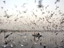 fotojournalismus:  Men feed birds in the