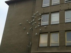 boyurl:  it looks like the government sneezed on this building 