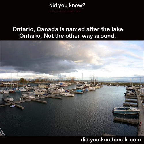 did-you-kno:  Source