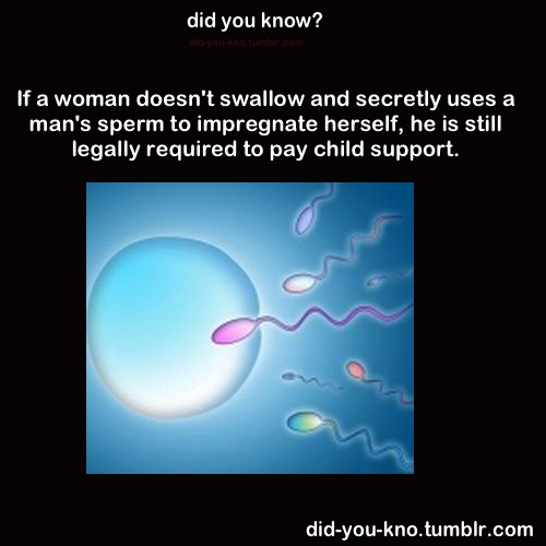 did-you-kno:  Source