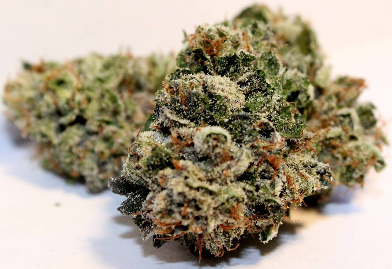 danknugporn:  Bubba Kush 