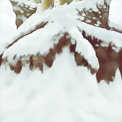 penguinsledding:  AtLA 30 Day Challenge (the Do-Over): Day 6 - Favorite Element
