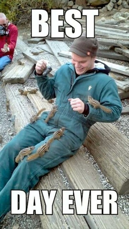 lolsofunny:  via lolsofunny=)