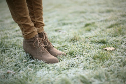 lackingly:  frosted grass (by whimsical jane)