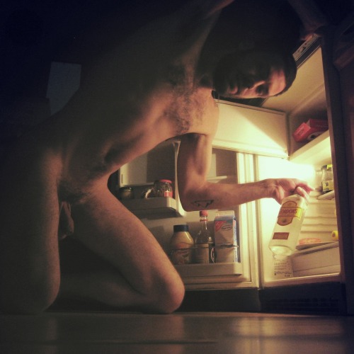 justapolarbearcub:  Someone plundered the fridge last night … 