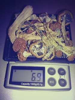 Lets eat em and wander thru the woods..  anybody?