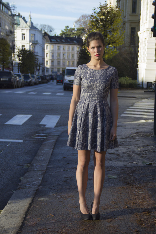 camillastorjord:  Modell: Ingeborg / Pholk 