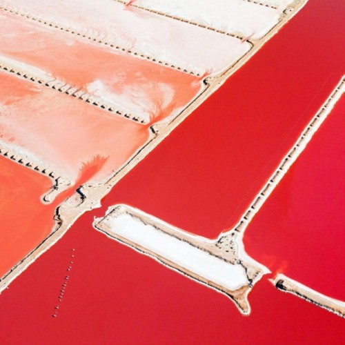 tylervarsell:  Photography by Steve Back via Trendland:  Captured over the course of three years, th