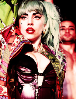 Paws UP