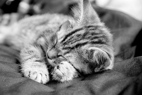 Déprimé.