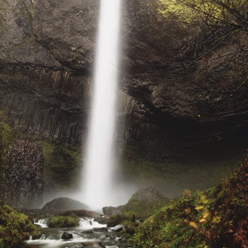 Columnar basalt, be still my heart! #pdxthxgvn (at Latourell Falls)