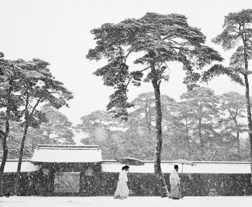 denise-puchol:  Meiji Shrine, Tokyo bischof 1951