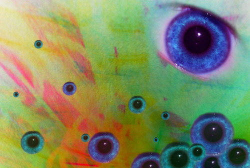 wahzoo.tumblr.com/post/36387450442/
