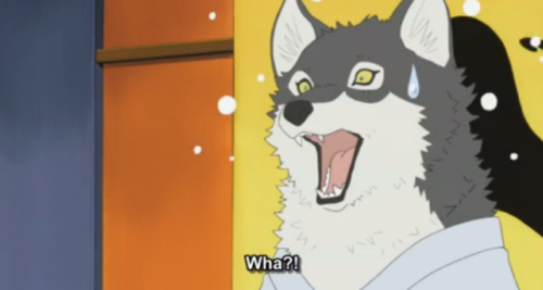 barrymanilowswinternightmare:  This week on Anime Dog Husbands 