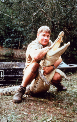 yeahthathappened:  steve irwin was the man