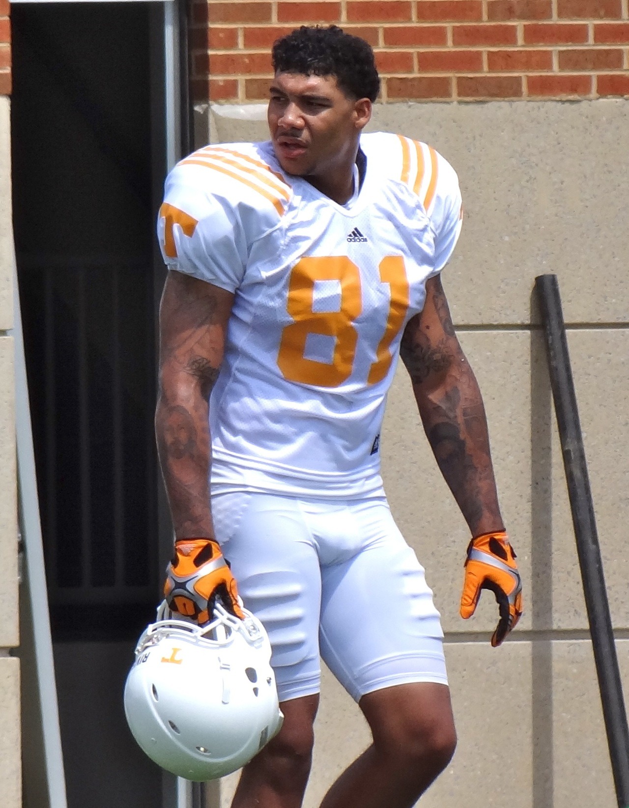 Mychal Rivera, Tennessee Vols