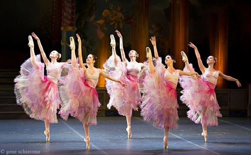 forthedancers: Waltz of the FlowersBoston Ballet’s Nutcracker 2012Photo by Gene Schiavone 