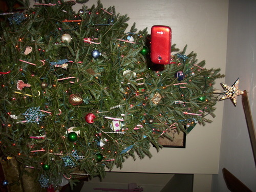 callmechaos:  poking-roger-waters-penis:  freddies-beautiful-smile:  freddies-beautiful-smile:  Mother of god. My mom was trying to take a picture of our christmas tree. Being the troll I am, I kept photobombing. She had me sit down to stop and I threw
