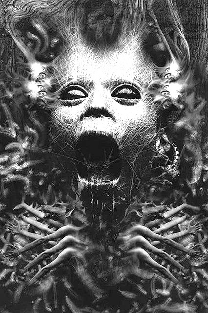 Morbid Beauty