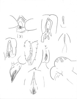 Several mare bit sketches I made while attempting