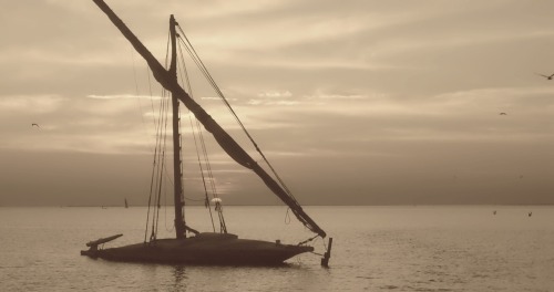 Sailboat at sunset in Borollos Lake, North Eastern Egypt