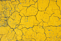 potea:  Cracks on Yellow Asphalt (by GrungeTextures)
