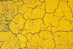 potea:  Cracks on Yellow Asphalt (by GrungeTextures) 