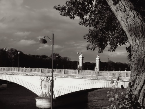 Pont des Invalides, Le Seine Paris adult photos