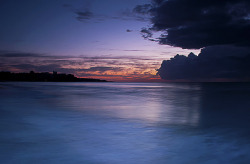 whisped:  Sunrise Manly by nigelhowe on Flickr.