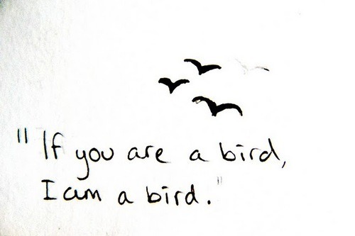 picsandquotes:  Follow this blog!