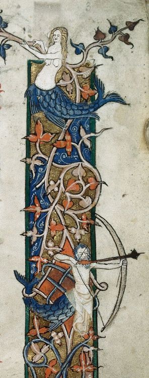 jothelibrarian: Pretty medieval manuscript of the day is a mermaid, and a merman! More important tha