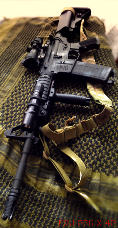 fmj556x45:  My M4gery  LMT lower, sopmod adult photos