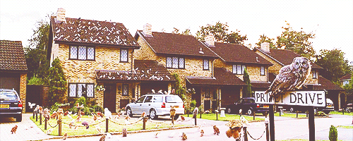 ohne-dich:  Favorite Harry Potter Moments ( No Specific Order )    Owls deliver Harry’s Hogwarts letter at Privet Drive  