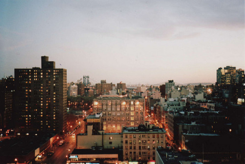 tangledleaves:  untitled 