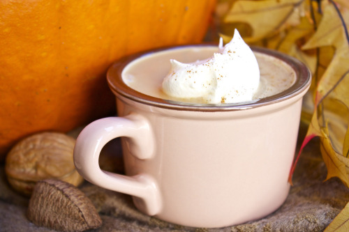 backawayfromthebuffet: 40 Calorie Harvest Pumpkin Latte Thanksgiving is over and we’re moving 
