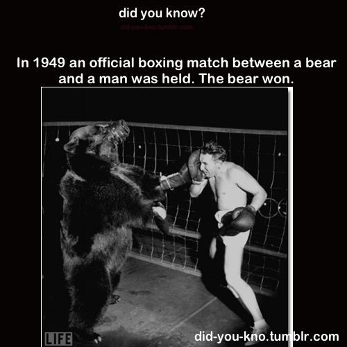 did-you-kno:  Source  Of course the bear won! It&rsquo;s a fucking bear!