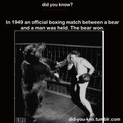 did-you-kno:  Source  Of course the bear