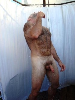 Hairy Meat