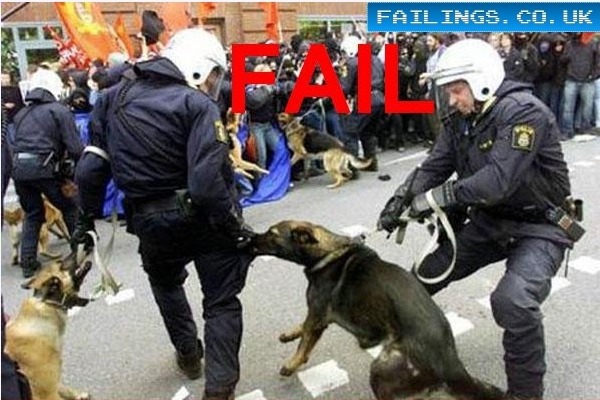 the-absolute-funniest-posts:  Check out 10 of the worst police fails ever. 