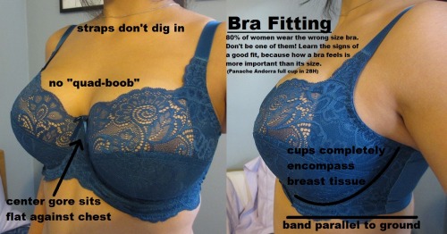 Porn photo DO IT NOW: Guide to Proper Bra Fit and Measuring