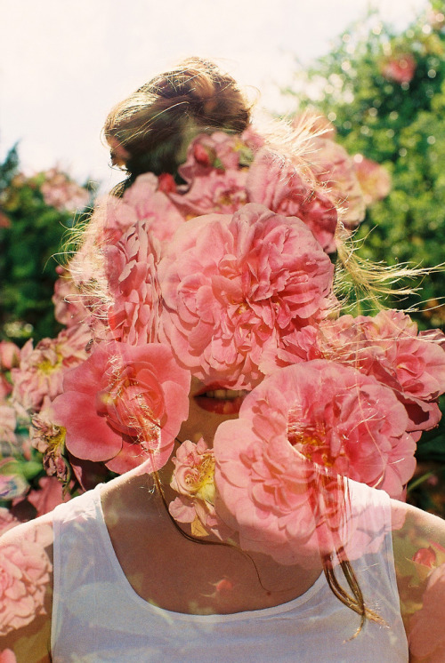whatokay:  (by holliefernando) 