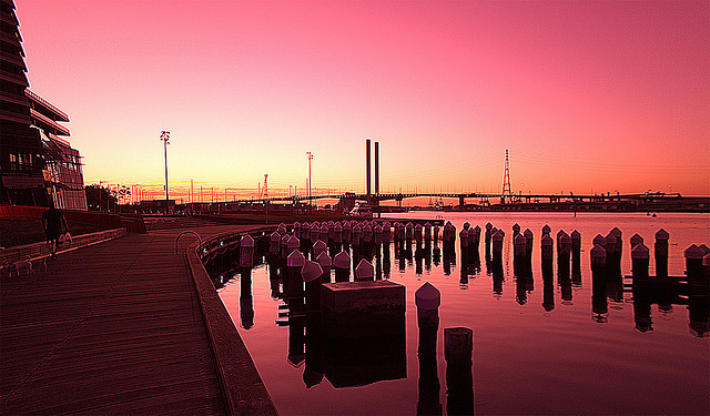 whisped:  pink as pink can be by Тᵃᵶ on Flickr. 