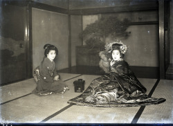 Miyako Odori