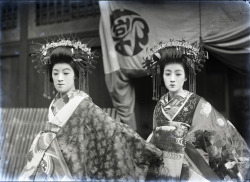 Miyako Odori