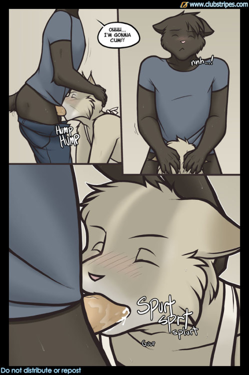 slylemur:  “Queers in the Kitchen” by Meesh 