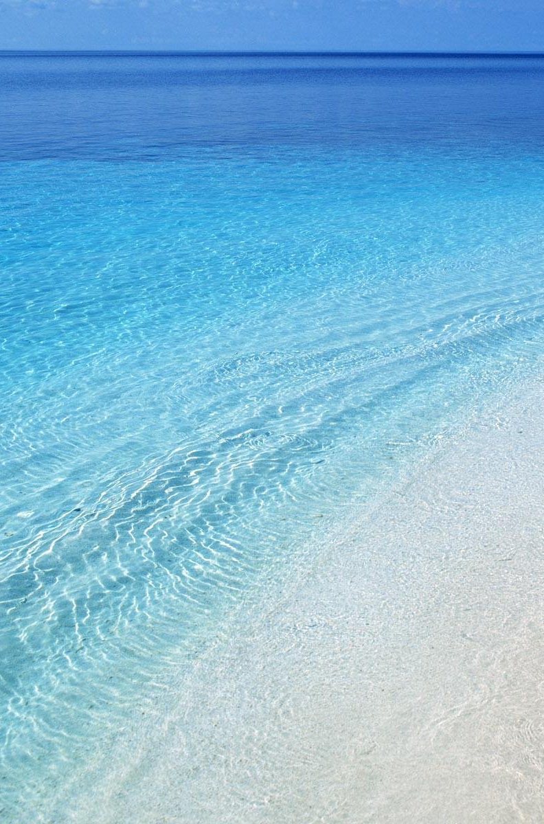 minty-waves:  bikini-point:  alaea:  such clear, stunning shades of blue  summer