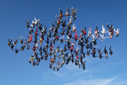Falling star (138 skydivers form a star pattern